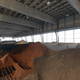 Image for article titled A Rare Peek Inside a Factory Where Toilets Are Born